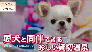 愛犬と同伴できる貸切温泉と糸島にあるオシャレカフェへいってきたワン