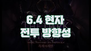 【파판14】 6.4 현자 전투에 관하여