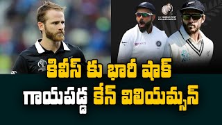 Kane Williamson Injured Before World Test Championship Finals | Telugu Buzz