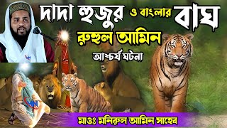 দাদা হুজুর ও বাংলার বাঘ রুহুল আমিনের আশ্চর্য ঘটনা। দাদাহুজুর পীর কেবলার ঘটনা। মাওঃ মনিরুল আমিন সাহেব