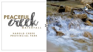 🎶Peaceful Creek Waterfall 🎶 | Soft Cascade Over Rocks at Harold Creek | Get Outside