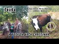 toada da vaca caretinha pegada por os vaqueiros sorriso e marcelo poetas alon zôa e ary zôa