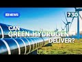 Government trying to encourage green hydrogen production in Australia | 7.30