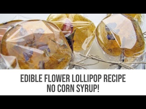 DIY ❆ Rustic Flower & Herb Lollipops ❆ No Corn Syrup! DIY ❆ Rustic Flower & Herb Lollipops ❆ No Corn Syrup!