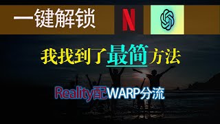 【无脑操作】用warp给VPS解锁chatgpt和奈飞的最简方法！无需修改节点xray配置文件一键实现warp分流|最简单最完整vps教程