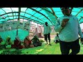 AKF 360 | Regenerative Farming Lesson in India   Bio-pesticide Lesson in India | English language