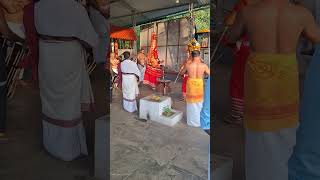 മുത്തപ്പനും തിരുവപ്പനും #theyyam #kannurkerala #ytshorts