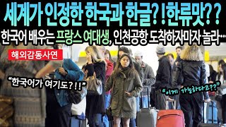 한국어 배우는 프랑스 여대생 인천공항 도착하자마자 놀라…”세계가 인정한 한국과 한글 ! 한류맛  ”