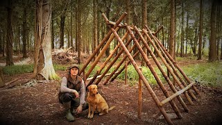 NEW BUILD: Building a Woodland Viking House Bushcraft Shelter with my Dog | Hand Tools | Axe | Ep.1