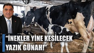 Süt Üretiminde Maliyet Çıkmazı!  "Artık Yeter Çiftçi Para Kazanamıyor!" / AGRO TV HABER