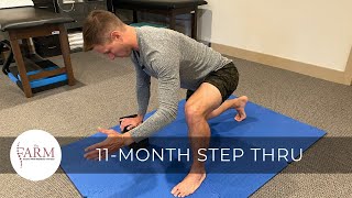 DNS 11-Month Step Thru (Dynamic Neuromuscular Stabilization)