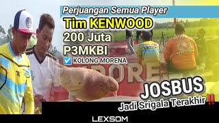 🔴 Edisi KENWOOD.,‼️ Full Aksi Perjuangan Player2 Tim KENWOOD Di Event 200 juta P3MKBI KOLONG MORENA