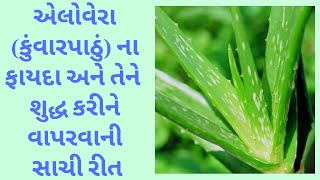 એલોવેરા ના ફાયદા | કુંવારપાઠું ના ફાયદા | Aloe vera Benefits | Aloe vera Ke Fayde