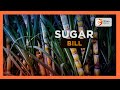 Sugarcane farmers in Chemeli give views on sugar bill