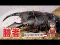 【どっちが強い ワールドカップ編 】中盤戦ハイライト（第７戦目〜第１２戦目）