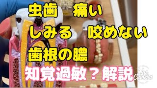 虫歯の痛い　しみる　咬めない　神経取る　根の膿の治療について解説　2023年〜　大宮　鈴木歯科医院