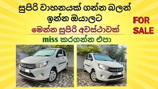 Auto Gear Celerio සුපිරි Car එකක් හොයන ඔයාට මෙන්න අපෙන් සුපිරියක් #srilanka #automobile