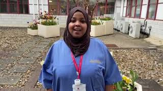 Celebrating our nurses!