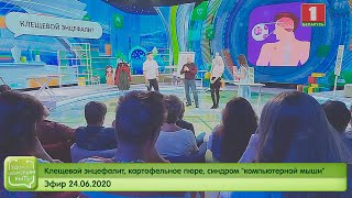 Клещевой энцефалит, картофельное пюре, синдром \