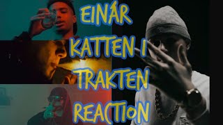 Einár - Katten i Trakten (Official Music Video) UK REACTION