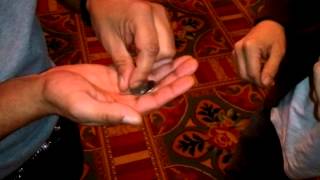 The Trick that Fooled Einstein-Day 32 of 365 days of Magic