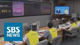 폭염에 10명 사망…동물 떼죽음…전력수요 역대 최고치 / SBS