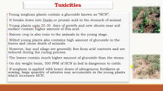 Crop Production Technology of Fodder/Forage Sorghum