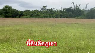 ขายที่ดินติดภูเขาที่สุดของที่ดิน ขนครนายก เหมาะทำธุรกิจแลนมาคร์ของนครนายก 0830984963 คุณต้อม