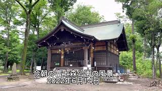 陸上競技場の事務所に七夕飾りが飾ってあった今朝の富士森公園の風景（2022年6月14日）