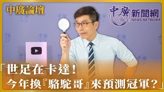 【中廣論壇】鍾佳濱：「世足在卡達！今年換『駱駝哥』來預測冠軍？」｜「中東國家神秘的面紗下，掩藏著戰爭與革命的悲傷」｜「天選之『雞』！感恩節的特赦火雞儀式！」｜11.30.22