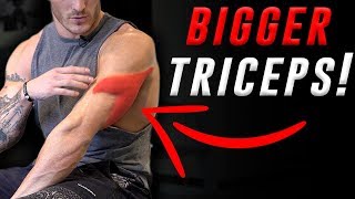 4 Exercises for Bigger Triceps (DUMBBELLS ONLY!) | V SHRED