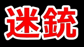 誰も知らない!?世界の迷銃TOP5【NHG】