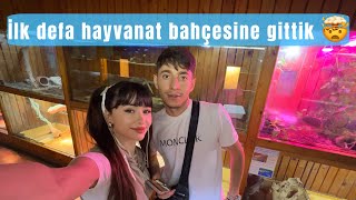 Tifliste ilk defa hayvanat bahçesine gittik 🤯