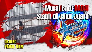 MB BADAI Stabil Juara || Prama Team || Dr.Reno