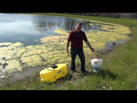 Controlling Algae in Farm Ponds Controlling Algae in Farm Ponds