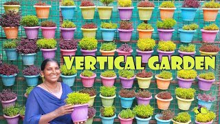 Vertical Garden/Amazing Vertical Garden Ideas/വെർട്ടിക്കൽ ഗാർഡനിങ് അറിയേണ്ടതെല്ലാം