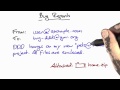 Bug Reports - Software Debugging