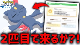 『課金の力で手に入れたお香』を使って最強ニューラ捕獲なるか？【ポケモンスリープ】