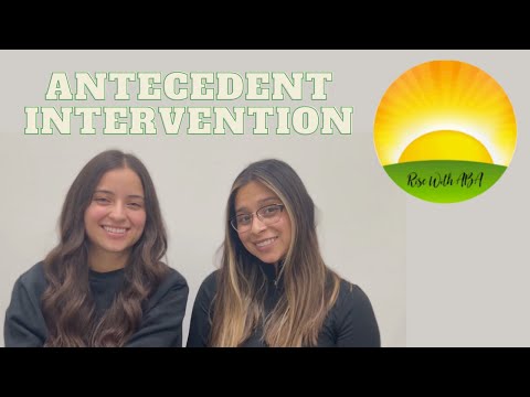 What are some antecedent strategies?