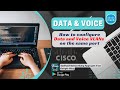 How to Configure Data and Voice VLANs on the same port on Cisco Devices | Network Handbook