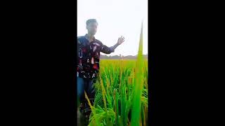 কিশোরগঞ্জের ছেলে। কটিয়াদি