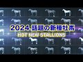 2024年新種牡馬紹介　～日本調教馬編～ jra公式