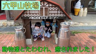 神戸市立六甲山牧場に動物達とたわむれ、癒されてきました！