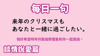 【毎日一句】来年のクリスマスもあなたと一緒に過ごしたい。（談情説愛篇）