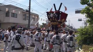 貝塚宮太鼓台本担ぎ2日目 昼 練り合い(担ぎくらべ)