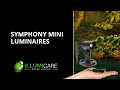 Symphony Minis (Opus, Minuet and Solo) Feature Video