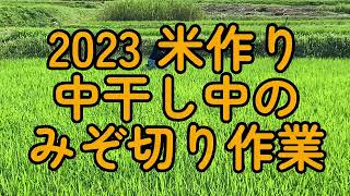 【2023米作り】 中干し中のみぞ切り作業　@ufochannel777