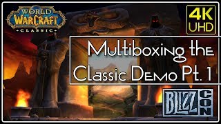 Multiboxing Classic WoW BlizzCon Demo Part 1