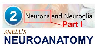 (Chp#2A)  Structure and Types of Neuron | NeuroAnatomy Chp2 PartA | Snell's NeuroAnatomy