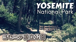 【世界遺産】ヨセミテ国立公園（パート1/4）Yosemite National Park (Arch Rock Entrance \u0026 Mariposa Grove)